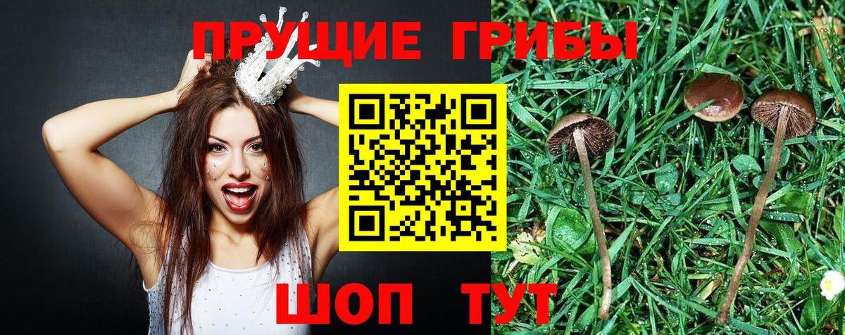 Галлюциногенные грибы Magic Shrooms  купить наркотик  Орск  Галлюциногенные грибы прущие грибы  Вход с VPN 