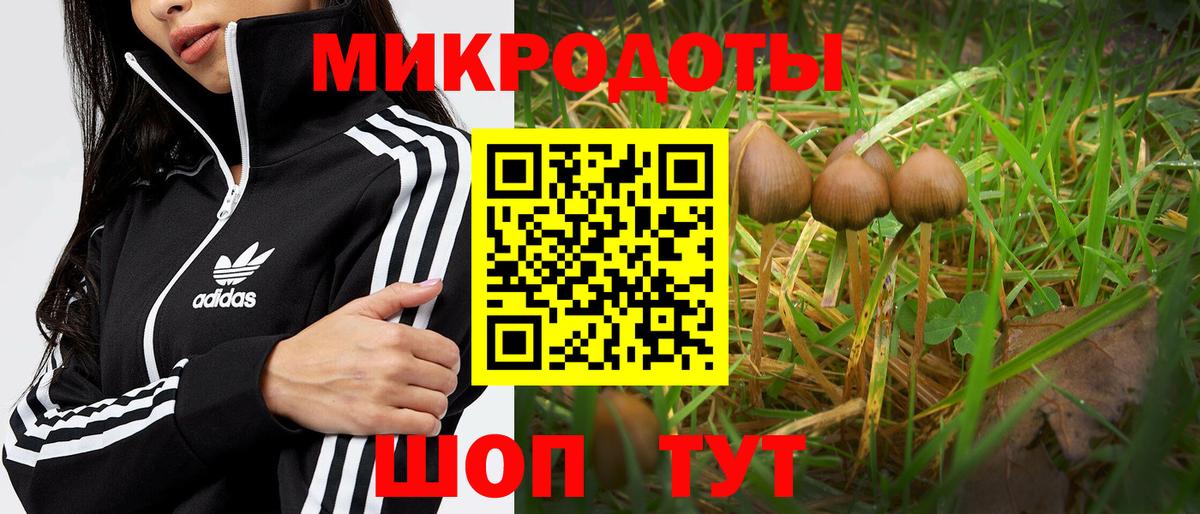 Псилоцибиновые грибы Psilocybine cubensis Орск
